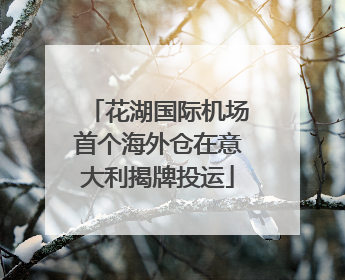 花湖国际机场首个海外仓在意大利揭牌投运