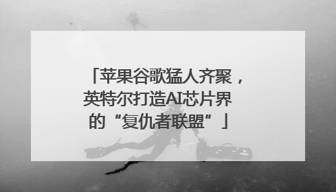 苹果谷歌猛人齐聚，英特尔打造AI芯片界的“复仇者联盟”