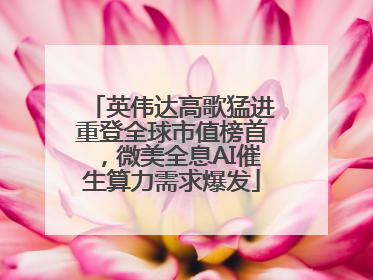 英伟达高歌猛进重登全球市值榜首，微美全息AI催生算力需求爆发
