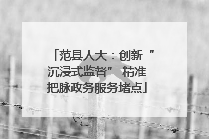 范县人大：创新“沉浸式监督” 精准把脉政务服务堵点