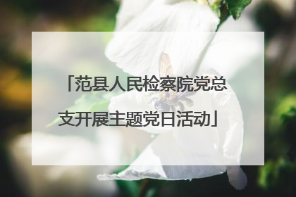 范县人民检察院党总支开展主题党日活动