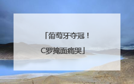 葡萄牙夺冠！C罗掩面痛哭