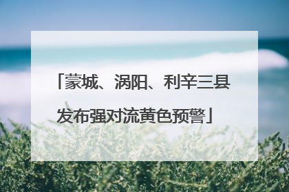 蒙城、涡阳、利辛三县发布强对流黄色预警