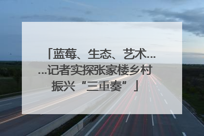 蓝莓、生态、艺术……记者实探张家楼乡村振兴“三重奏”