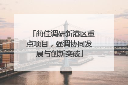 蔺佳调研新港区重点项目，强调协同发展与创新突破