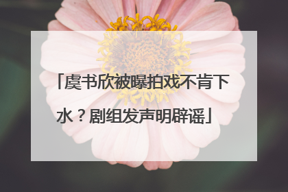 虞书欣被曝拍戏不肯下水？剧组发声明辟谣