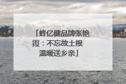 蜂亿健品牌张艳霞：不忘故土根 温暖送乡亲