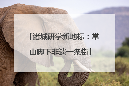 诸城研学新地标：常山脚下非遗一条街