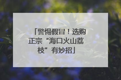 警惕假冒！选购正宗“海口火山荔枝”有妙招