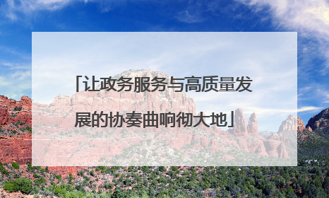 让政务服务与高质量发展的协奏曲响彻大地