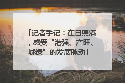 记者手记：在日照港，感受“港强、产旺、城绿”的发展脉动