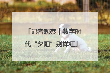 记者观察｜数字时代“夕阳”别样红