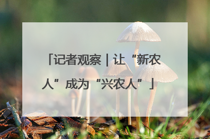记者观察｜让“新农人”成为“兴农人”