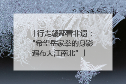 行走赣鄱看非遗：“希望岳家拳的身影遍布大江南北”