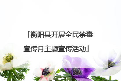 衡阳县开展全民禁毒宣传月主题宣传活动