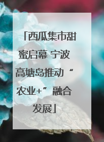 西瓜集市甜蜜启幕 宁波高塘岛推动“农业+”融合发展