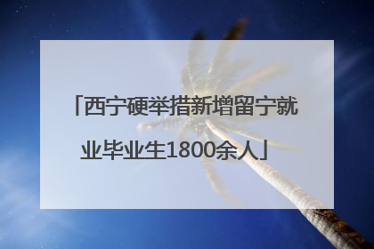 西宁硬举措新增留宁就业毕业生1800余人