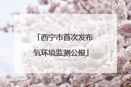 西宁市首次发布氧环境监测公报