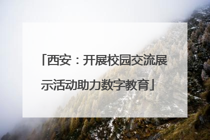 西安：开展校园交流展示活动助力数字教育