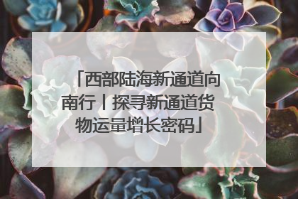 西部陆海新通道向南行丨探寻新通道货物运量增长密码