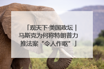 观天下·美国政坛｜马斯克为何称特朗普力推法案“令人作呕”