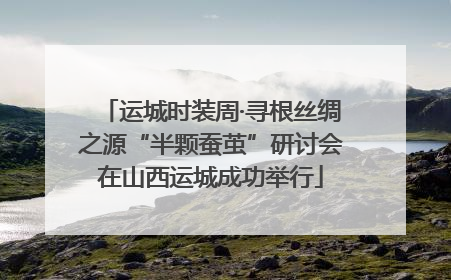 运城时装周·寻根丝绸之源“半颗蚕茧”研讨会在山西运城成功举行