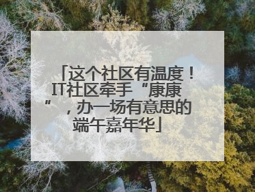 这个社区有温度！IT社区牵手“康康”，办一场有意思的端午嘉年华