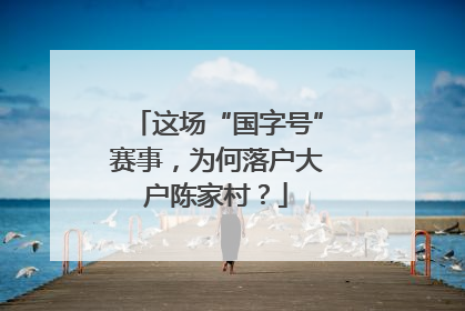 这场“国字号”赛事，为何落户大户陈家村？