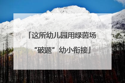 这所幼儿园用绿茵场“破题”幼小衔接