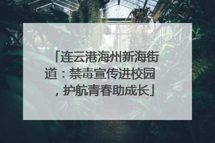连云港海州新海街道：禁毒宣传进校园，护航青春助成长