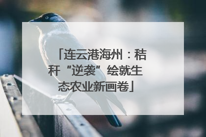 连云港海州：秸秆“逆袭”绘就生态农业新画卷