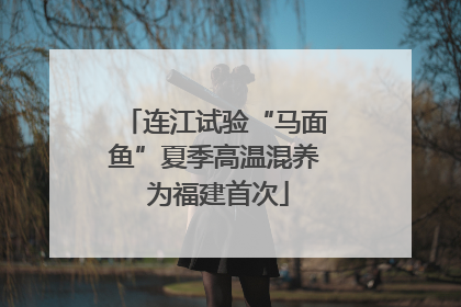 连江试验“马面鱼”夏季高温混养 为福建首次