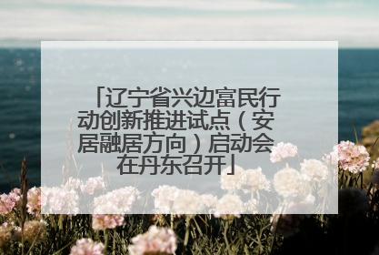 辽宁省兴边富民行动创新推进试点（安居融居方向）启动会在丹东召开