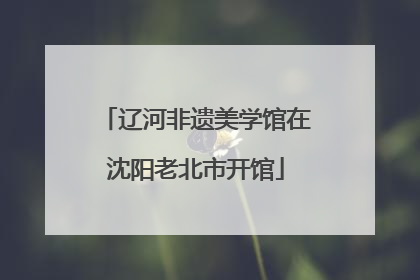 辽河非遗美学馆在沈阳老北市开馆