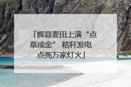 辉县麦田上演“点草成金” 秸秆发电点亮万家灯火