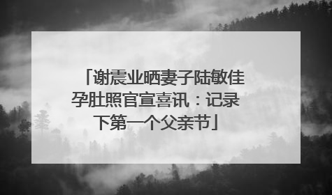 谢震业晒妻子陆敏佳孕肚照官宣喜讯：记录下第一个父亲节