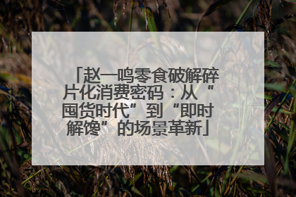赵一鸣零食破解碎片化消费密码：从“囤货时代”到“即时解馋”的场景革新