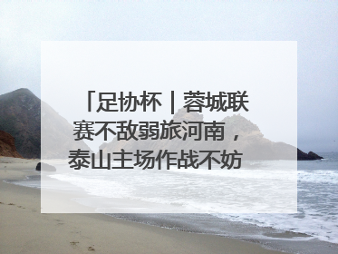 足协杯｜蓉城联赛不敌弱旅河南，泰山主场作战不妨“抄作业”