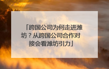 跨国公司为何走进潍坊？从跨国公司合作对接会看潍坊引力