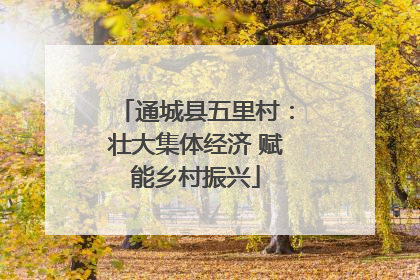 通城县五里村：壮大集体经济 赋能乡村振兴