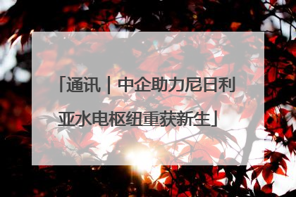 通讯｜中企助力尼日利亚水电枢纽重获新生