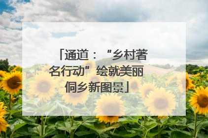 通道：“乡村著名行动”绘就美丽侗乡新图景
