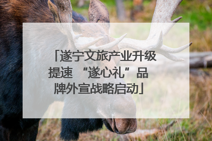 遂宁文旅产业升级提速 “遂心礼”品牌外宣战略启动