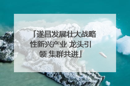 遂昌发展壮大战略性新兴产业 龙头引领 集群共进