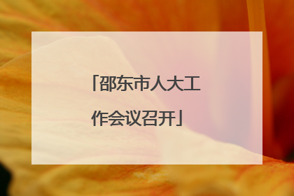 邵东市人大工作会议召开