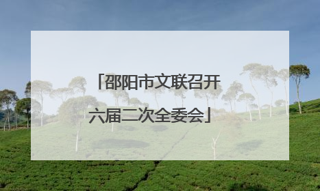 邵阳市文联召开六届二次全委会