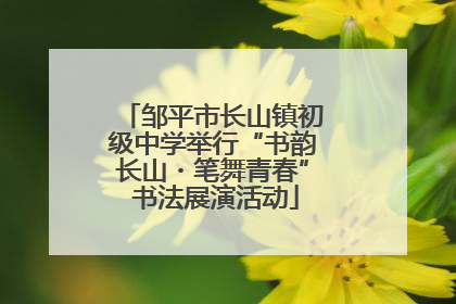 邹平市长山镇初级中学举行“书韵长山・笔舞青春” 书法展演活动