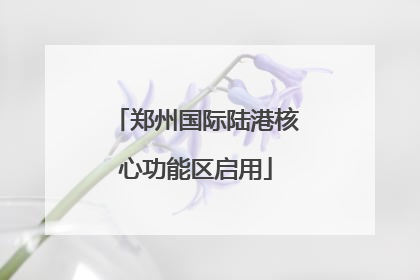 郑州国际陆港核心功能区启用