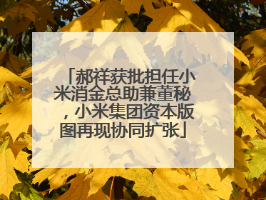 郝祥获批担任小米消金总助兼董秘，小米集团资本版图再现协同扩张