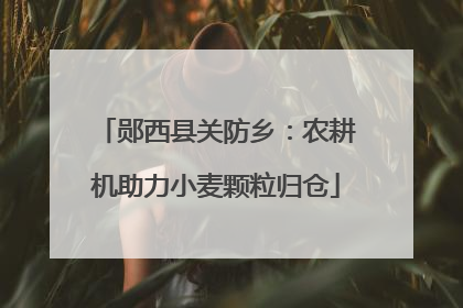 郧西县关防乡：农耕机助力小麦颗粒归仓